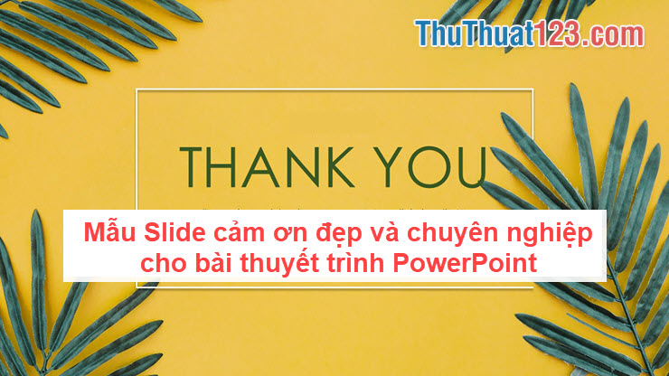 Mẫu Slide cảm ơn đẹp và chuyên nghiệp cho bài thuyết trình PowerPoint