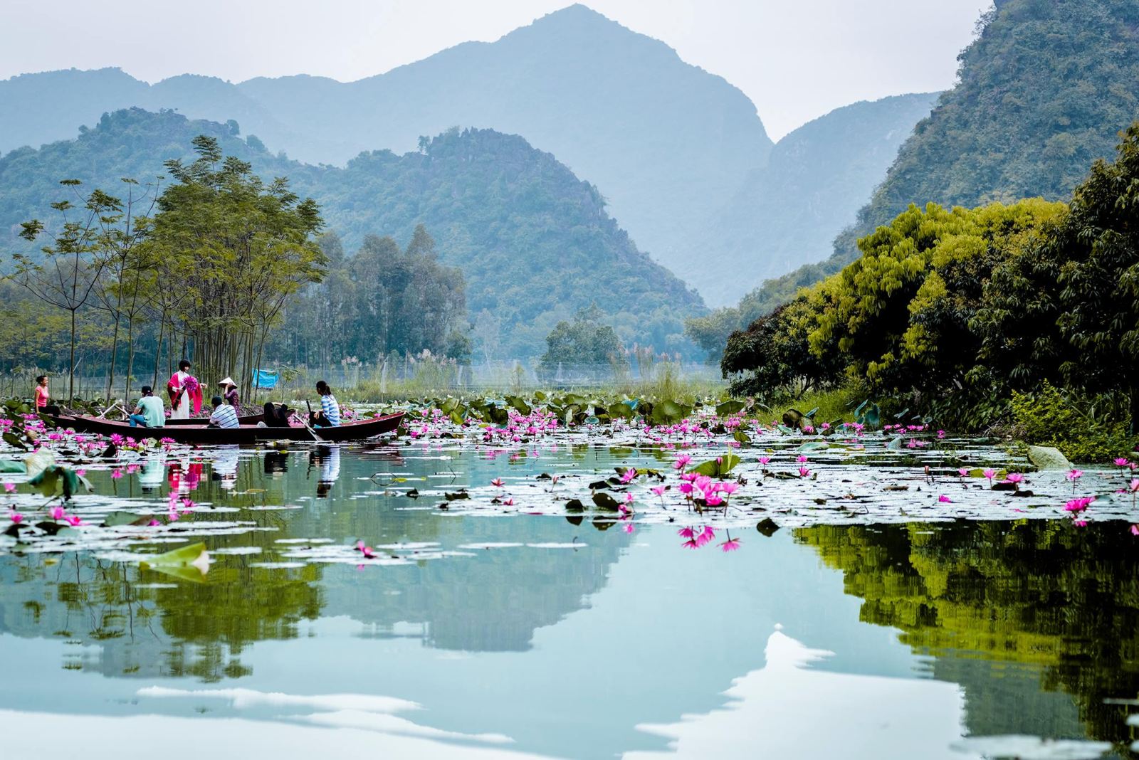 Hình ảnh quê hương, đất nước, con người Việt Nam tươi đẹp