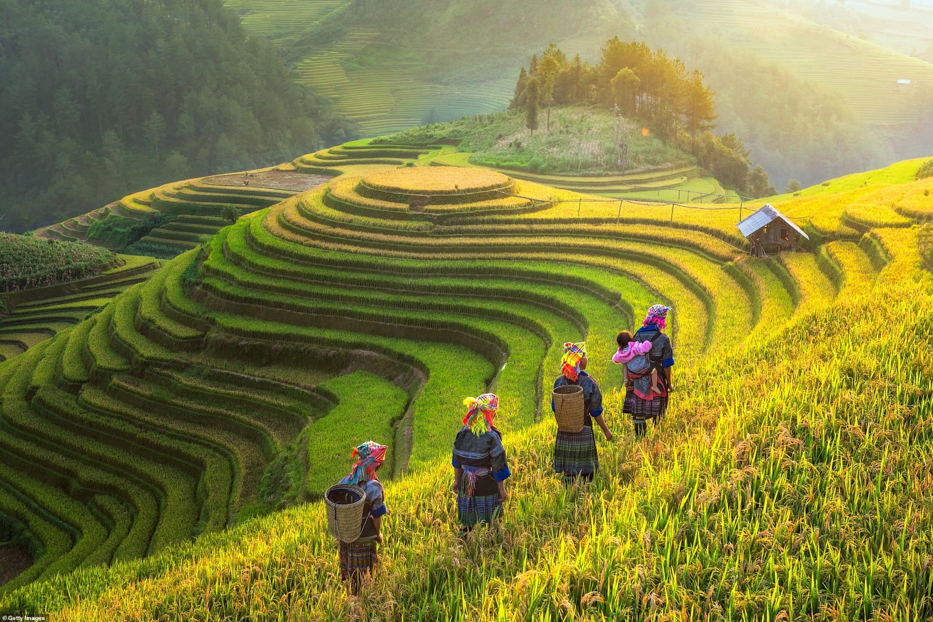 Hình ảnh đất nước Việt Nam đẹp nhất