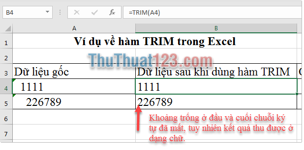 Kết quả trả về của hàm TRIM là dạng chữ
